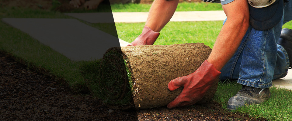 Gillette Landscapers